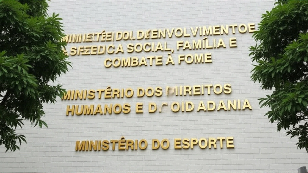 Reações e críticas: o que dizem os especialistas e a sociedade
